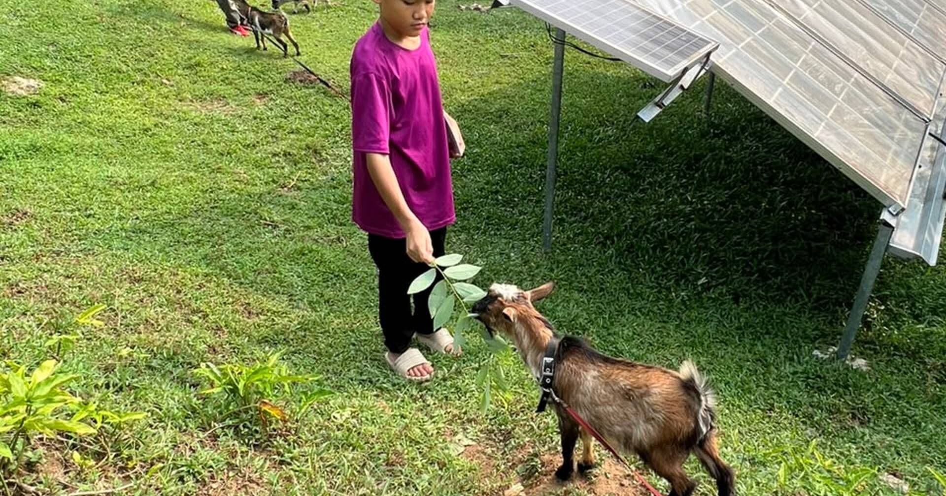 A day with nature